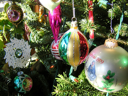 338184498_8401e2c335