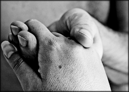 1482317508_14e91fdf4d