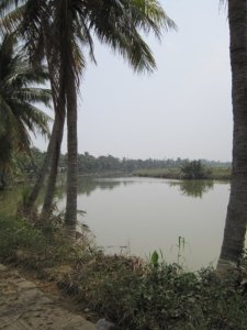 9525_158013068765_773513765_2624574_5948944_n